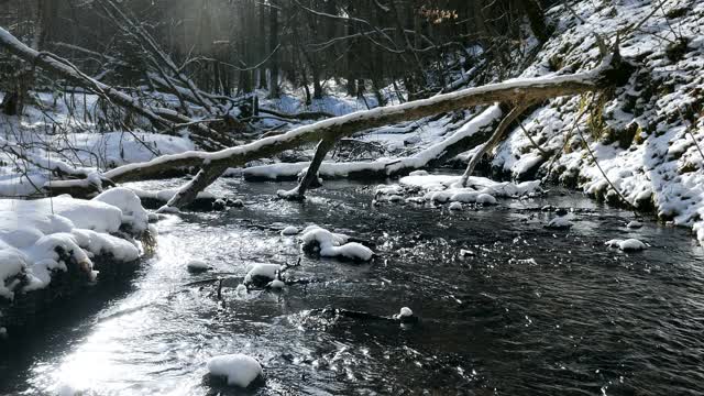 北海道森林小溪降雪视频素材