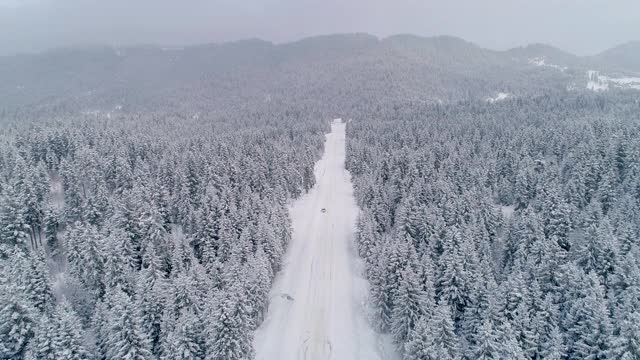 森林里的汽车在雪地上行驶视频素材