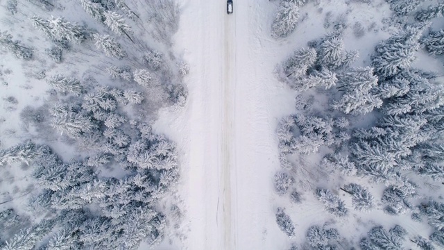 森林里的汽车在雪地上行驶视频素材