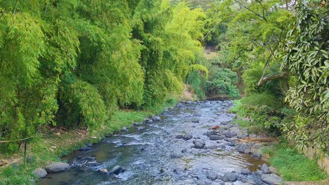 河视频素材