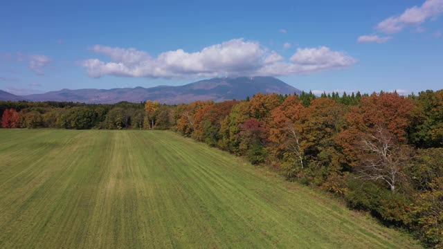 广阔的风景和岩手山视频素材