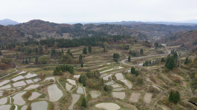 秋梯田无人机拍摄视频素材