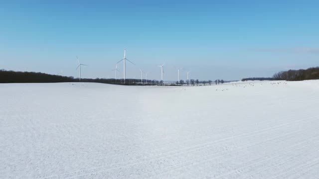 白雪覆盖的田野上有奔跑的鹿，背景是风力发电厂。视频素材