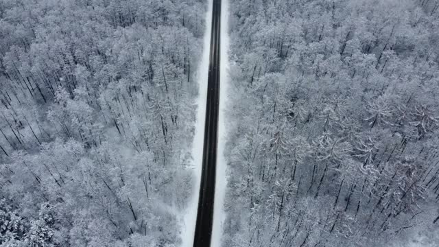 黑色柏油路之间的雪林从鸟瞰。视频素材