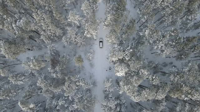 白雪森林里的白色汽车视频素材