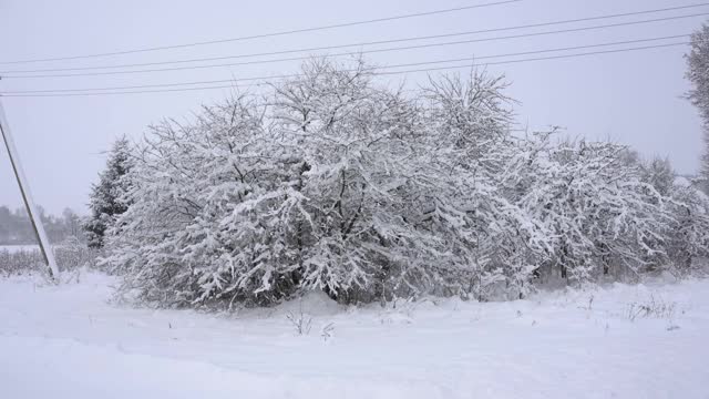 乡间小路穿过一片白雪皑皑的森林，很多雪，树木在雪地里，乡间小路，冬天的故事视频素材