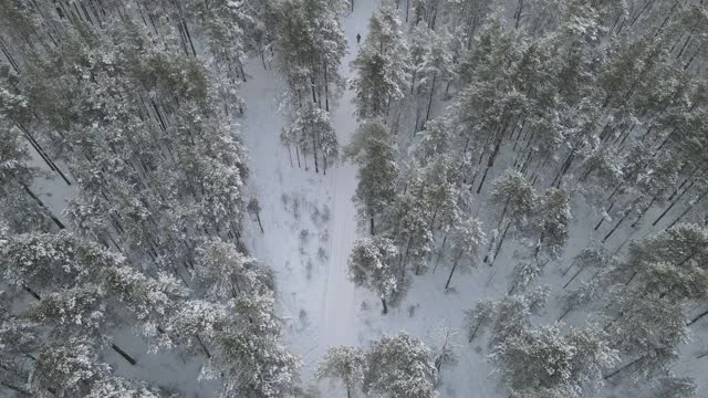 雪地里的冬天的路视频素材