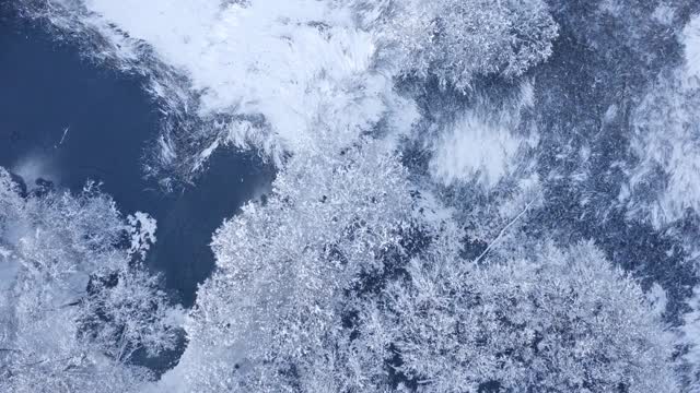 鸟瞰图的冬天在湖边视频下载