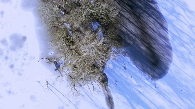 这是一架无人机直接俯瞰苏格兰一处冰雪覆盖的湖面上的一座小岛的鸟瞰图视频素材