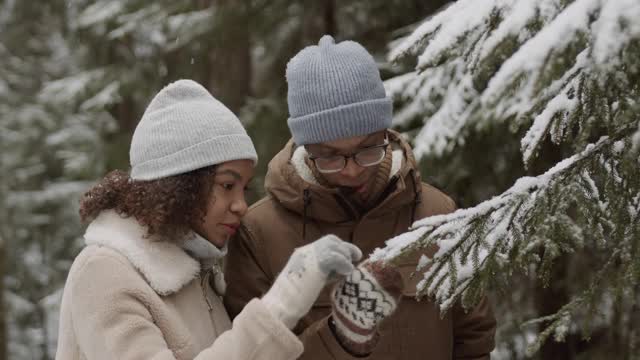 年轻的男人和女人在散步时研究雪花视频素材