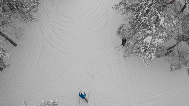 前视图。运动员正在冬季森林里进行越野滑雪视频素材