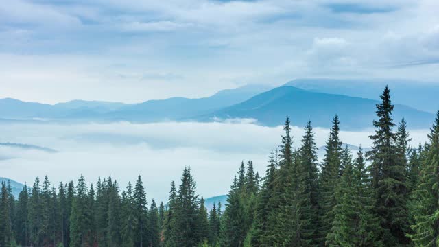 雨时，白云在山间秋山森林中缓缓移动。宁静的景色常绿松林在山上在雾。风景优美、美丽神秘。4 k。视频素材