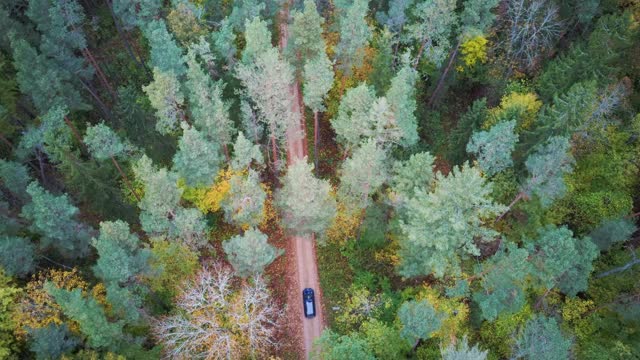 鸟瞰图在4k的汽车行驶在曲折的乡村砾石路通过多彩的秋天森林。美丽的风景与乡村道路，树与红色和橙色的叶子。视频素材