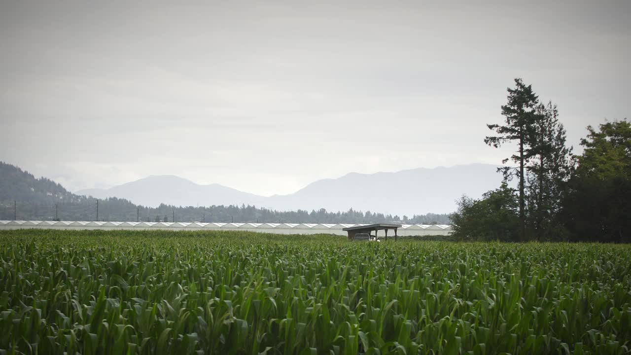 大角度的田野与温室和山在背景视频素材