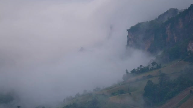 景观雾，绿化，雨林，山脉和丘陵。视频素材