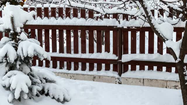 后院的雪视频素材