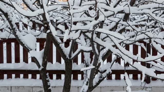 后院的雪视频素材