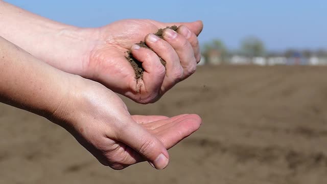 农学家在播种前测试土壤质量，慢动作视频素材