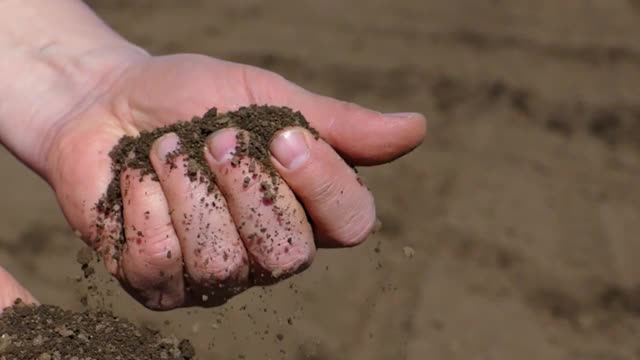 农学家在播种前测试土壤质量，慢动作视频素材