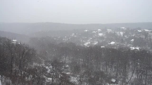 飘落的雪花映衬着房屋和森林。缓慢的运动。视频素材