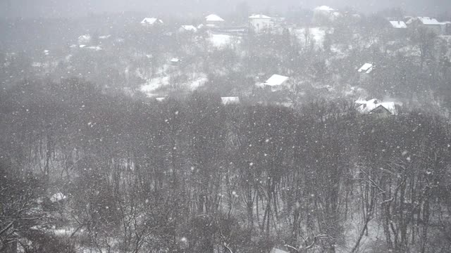 飘落的雪花映衬着房屋和森林。缓慢的运动。视频素材