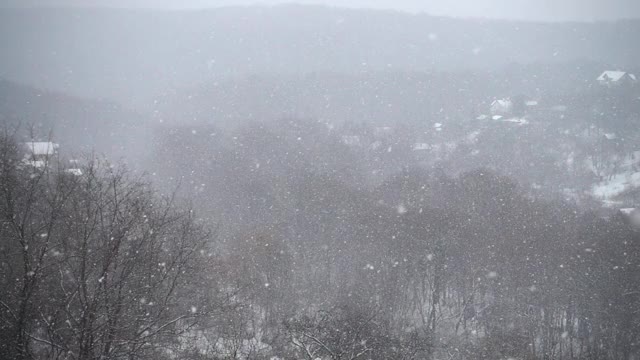 飘落的雪花映衬着房屋和森林。缓慢的运动。视频素材