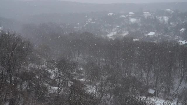 飘落的雪花映衬着房屋和森林。缓慢的运动。视频素材