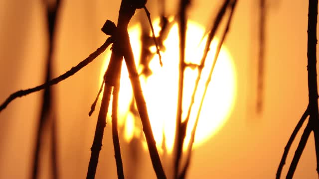 太阳视频素材