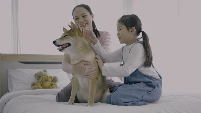 妈妈和女儿在卧室和宠物狗玩视频素材