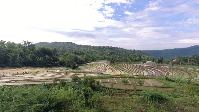 山区的稻田视频素材