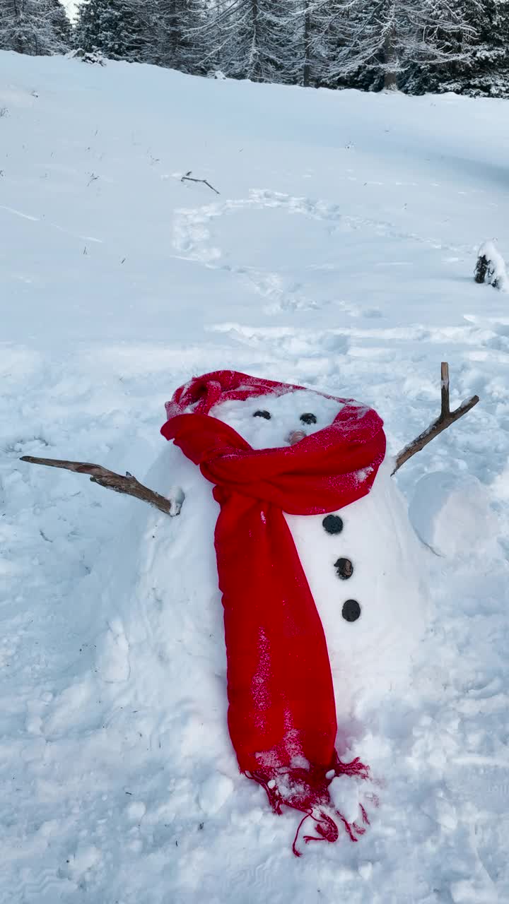 垂直:一个不认识的人向一个融化的雪人扔了一顶黑帽子。视频素材