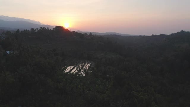 无人机飞过巴厘岛的梯田视频素材