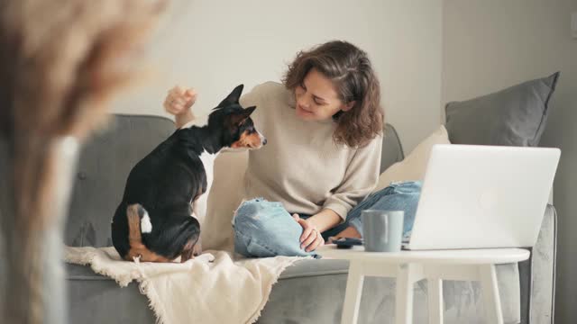 一位年轻女子坐在客厅的沙发上，抚摸着她的巴辛吉犬视频素材