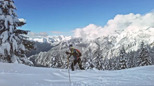 登山运动员带着海豹皮爬进新雪中视频素材