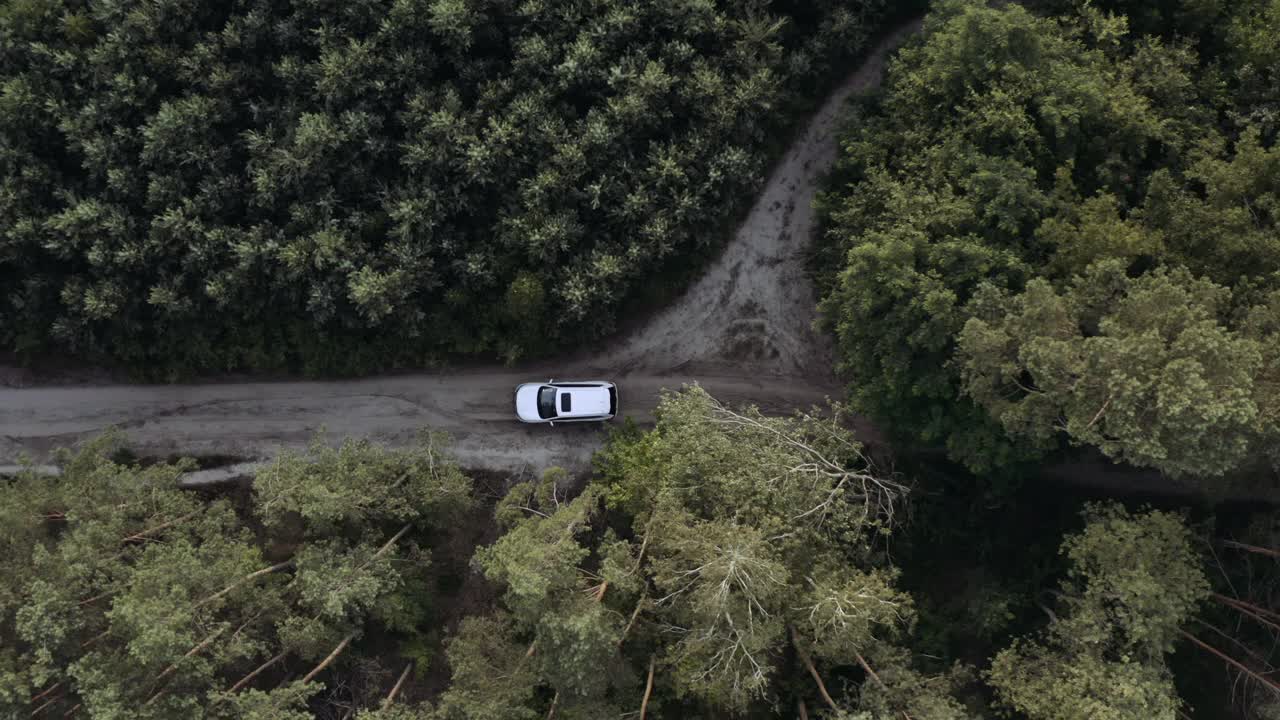 穿越森林的公路旅行。无人机的观点视频素材