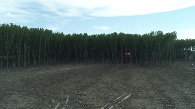 心形气球漂浮在空中情人在荒原无人机拍摄02视频素材