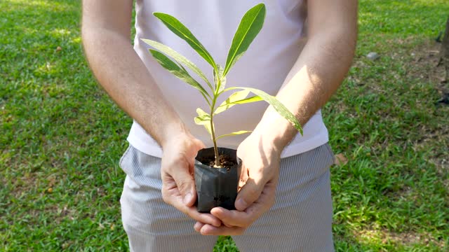 带着土壤、生态、生命理念的花盆袋里抱着嫩芽的男人视频素材