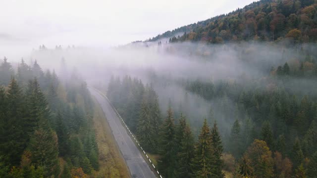 无人机鸟瞰图的薄雾早晨与雾在一个山。视频下载