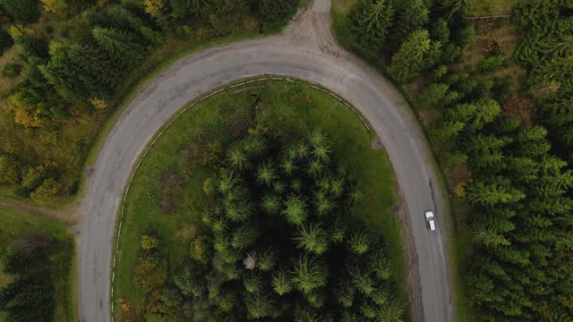 汽车在蜿蜒的山路上开着松树视频素材