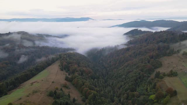 山上有雾，鸟瞰图视频下载