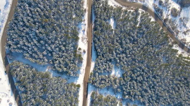 白雪覆盖的道路穿过树林和森林视频素材