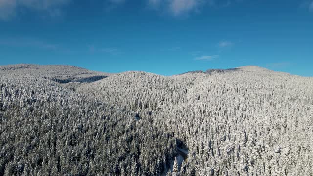 白雪覆盖的道路穿过树林和森林视频素材