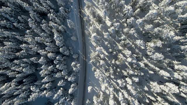 白雪覆盖的道路穿过树林和森林视频素材