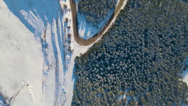 白雪覆盖的道路穿过树林和森林视频素材