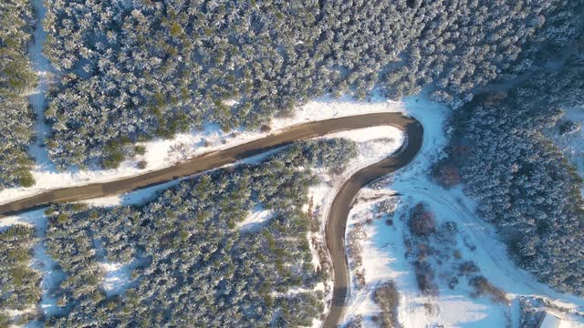 白雪覆盖的道路穿过树林和森林视频素材