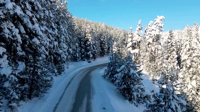 白雪覆盖的道路穿过树林和森林视频素材