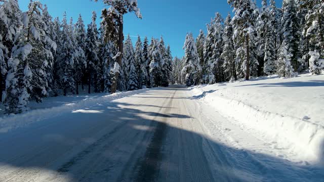 白雪覆盖的道路穿过树林和森林视频素材