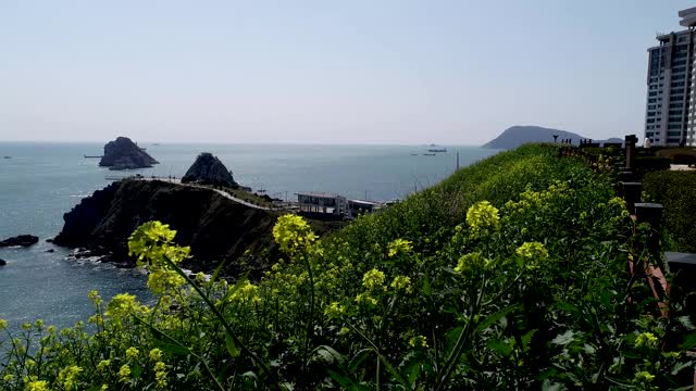 亚洲，釜山，日本，韩国。视频下载