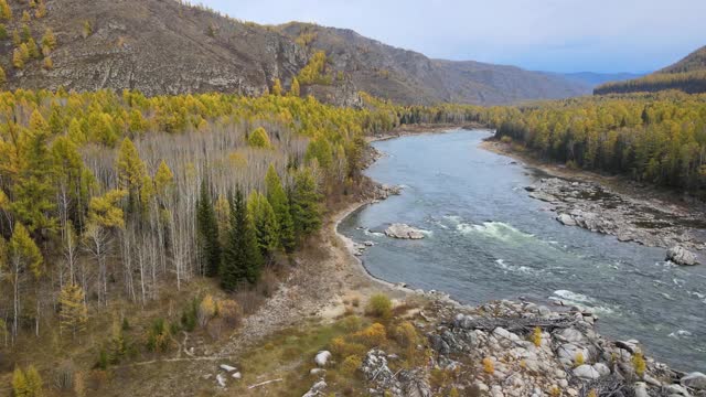 飞跃湍急的美丽山河，绕着岩石、高山和秋林，阴云密布视频下载