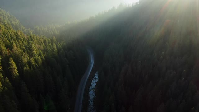 在阳光明媚的早晨，在乡村，柏油路与汽车穿过覆盖着绿色森林树木的山的无人机视图视频素材